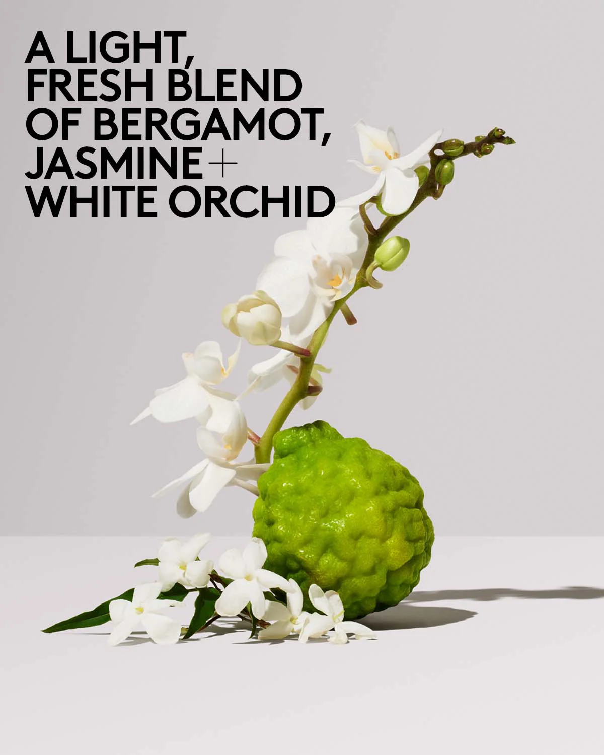 Butta Drop Hydrating Body Milk - Image 5