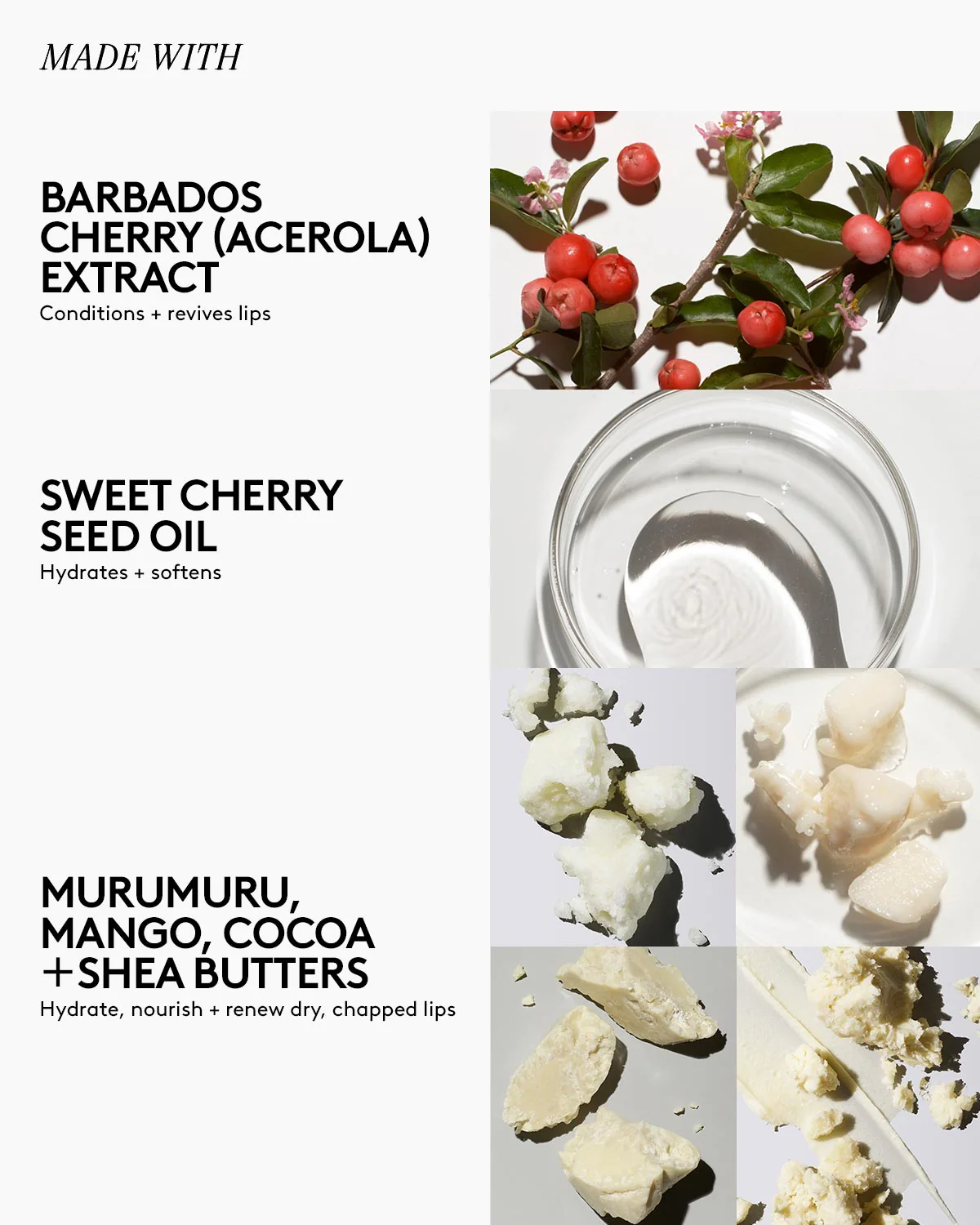 Lux Balm Ultra-Hydrating Cherry Lip Balm with Barbados Cherry + Vitamin E - Image 4